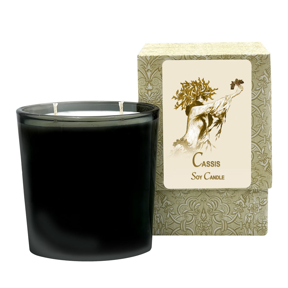 Cassis Medium Candle (60 to 70 hours Burning Time)